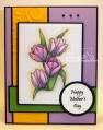 2012/05/24/Tulip_coloring_pages_Mothers_Day_by_Janet_Hunnicutt.jpg