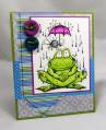 rainy_frog