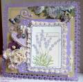 2012/06/29/Lavender_Lace_Resized_by_Dips.JPG