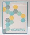 2012/08/02/DTGD2012-hexagon-thanks-hbs_by_hbrown.jpg