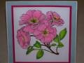 2012/08/11/Pretty_Spig_of_Flowers_copic_markers_by_SusieQ-lovesStampi.jpg