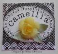 2012/08/19/BAF-Camellia-flower-card_by_Selma.jpg