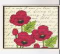 2012/08/24/Poppies_on_a_Letter_bb_by_triasimite.jpg