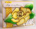 2012/08/31/Rose_Release_1_by_stampwithkristine.jpg