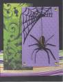 2012/09/01/Spider_with_Web0001_by_Shawn531.jpg