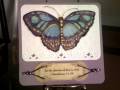2012/10/07/Kathleen_s_Butterfly_by_Precious_Kitty.JPG