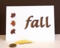 2012/10/16/CAS_CC_Fall_by_Kathleen_Lammie.JPG