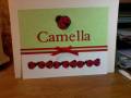 2012/11/18/Camella_Name_Frame_by_Fadge.jpg