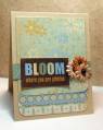 2013/01/02/Bloom_where_you_are_planted_by_summerthyme64.jpg