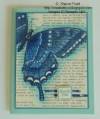 2013/02/02/copiccoloredswallowtail_by_sharonstamps.jpg