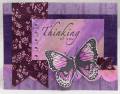 2013/03/10/butterfly_7_by_stampwithkristine.jpg