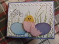 2013/03/30/Easter_Chicks_by_monkswife.jpg
