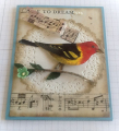 Bird_Cards