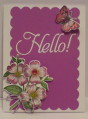 2013/07/11/Hello_w_Flowers_Butterflies_IMG_5984_by_pink_lady.jpg