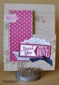 2013/07/30/Stampin_up_Hello_lovely6_by_RavenB.jpg
