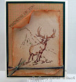 stag_card_
