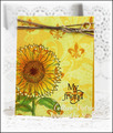 2013/09/11/sunflower-colleendietrich_by_Smoatsmom.jpg
