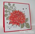 2013/09/26/HC_Red_Dahlia_by_stampingout.jpg