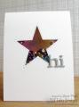 2013/10/01/Sequin_Star_Shaker_by_she_s_crafty.jpg