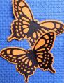 2013/10/10/WT488_-_CRE_Butterfly_Migration_by_BobbiesGirl.JPG
