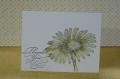 2013/10/28/ONE_LAYER_DAISY_CARD_by_bspinks.JPG