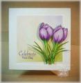 2014/02/20/Soft-Spring-Crocus-Card_by_TheresaCC.jpg
