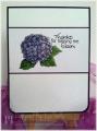 2014/02/28/Doodle_Pantry_Hydrangea_by_Rebeccaof.jpg