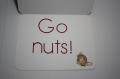 Go_Nuts_-_