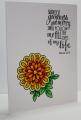 2014/04/05/Sunflowers_and_Dragonflies_Verve_Stamps_2_by_scrapbook4ever.jpg