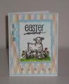 2014/04/20/SSS_Lamb_Easter_wishes_IMG_8357_by_Kalla_Walla.jpg