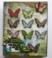2014/04/23/Butterfly_Canvas_-_Kaleidoscope_-_Cathy_McGrath_by_Cathy_Mc.JPG