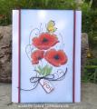2014/05/08/red_poppies_by_yorkshire_lass.JPG