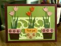 2014/05/12/Potted_Tulips_by_Precious_Kitty.JPG