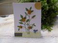 2014/06/01/Assorted_Cards_from_May_2014_Card_Classes_003_by_Tiny_Art_Creations.jpg