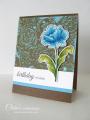 2014/06/06/ClareChocBoxCard01_by_cbuswell.jpg