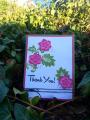 2014/06/18/thank_you_card_by_Michellediecuts.jpg