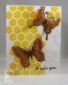 2014/06/29/Butterflies_and_Honeycomb_lb_by_Clownmom.jpg
