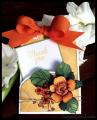 2014/07/02/FSJ_Tagged_Pocket_Thank_You_Card_by_Kazan.jpg