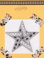 2014/07/05/Zentangle_Star_by_gobarb26.jpeg