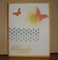 2014/08/30/beautiful_day_by_stampin_Pad.JPG