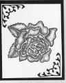 2014/09/10/Rose_Etching_by_abuist.jpeg
