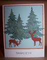2015/01/03/MY_CARDS_Small_Deer_and_Pine_Trees_by_Eager_Beaver.JPG