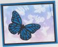 2015/05/10/scs_wtbutterfly_001_by_redi2stamp.jpg