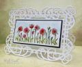 2015/06/11/row_of_poppies_by_Veritycards.jpg