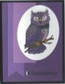 owl_purple