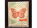 2015/10/11/Butterflies_Thinlits_Dies_Card_5_by_CatalinasCards.gif