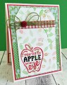 apple_2_by