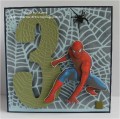 2015/11/16/HG_Spiderman_1_by_karin_van_eijk.jpg