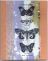 2015/11/22/butterflies_and_beads_2015_by_happy-stamper.jpg