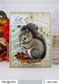 2016/01/07/Fall-Squirrel_by_akeptlife.jpg